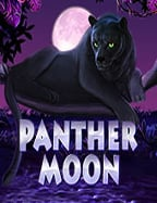 แนะนำ forest slot เกมสล็อตสุดมันส์จาก Jili