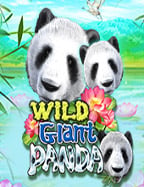 ลองกันหรือยังกับการทดลองสล็อตแคนดี้!