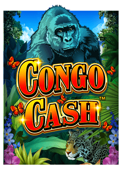 นํา เล่น บา คา ร่าpg slot ฝาก 50 รับ 100 เล่นยังไงให้ปัง