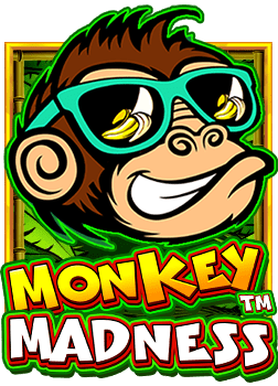 สนุกตื่นเต้นกับการ ทดลองเล่นสล็อต อ ลิ สเว็บพนันกีฬาออนไลน์